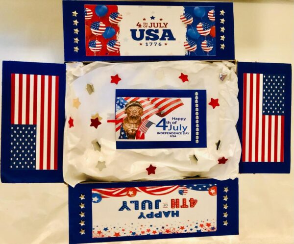 4TH OF JULY PACKAGE - Image 2