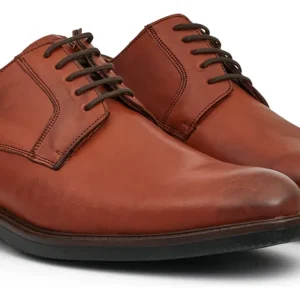 Brown Leather Dress Shoe for Missionary