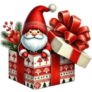 Christmas Package
